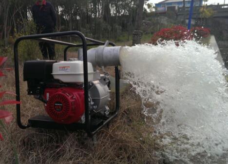 吉林省農(nóng)業(yè)農(nóng)村廳下發(fā)緊急通知：抓好抗旱播種保出苗工作